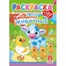  А4. Домашние животные