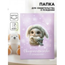 Папка Свидетельство  о рождении 