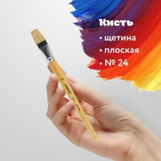 Кисть щетина №24 плоская,деревянная лакированная ручка,пакет с подвесом Пифагор