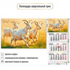 Календарь  квартальный символ года 2027 г 300х690 мм