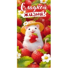 Конверт для денег  