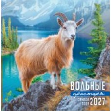 Календарь  На скрепке Символ года (фото). Вольные просторы 2027 г 230х235 мм