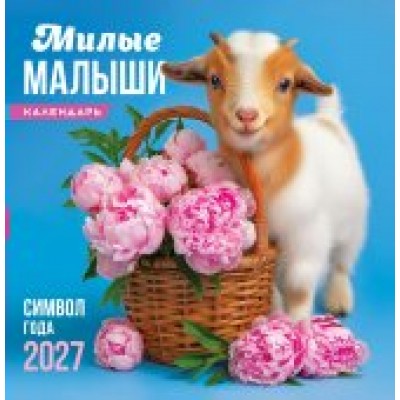 Календарь  На скрепке Символ года (фото). Милые малыши 2027 г 230х235 мм