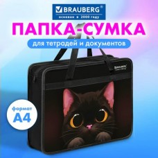 Папка с ручками А4 пластик, на молнии , 1 отделение, пластик, 80 мм, 
