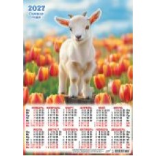 Календарь Листовой А3 Символ года. Малыш в тюльпанах (фото) 2027 г 297х420 мм