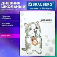 Дневник школьный универс. 40 л., твердый,матовая ламинация, 