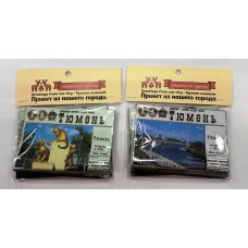 Сувенир   Магнит .Газета.Тюмень. полиграфия Сувениры Тюмени