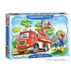  B4-03174 Спасение котенка, 30 деталей (MIDI)