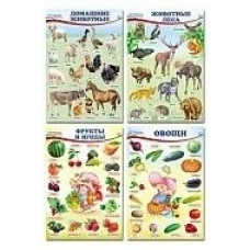 Плакат-мини Домашние,Лесный животные. Фрукты и я годы. Овощи (набор 4 шт) 210х308 мм