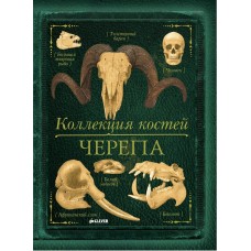 Бедуайер Камилла де ла Коллекция костей. Черепа/Бедуайер де ла К.