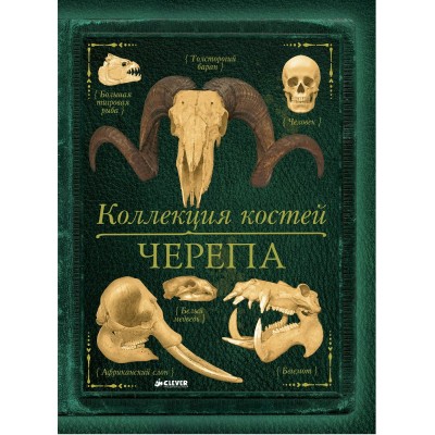 Бедуайер Камилла де ла Коллекция костей. Черепа/Бедуайер де ла К.