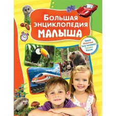 Клюшник Л Большая энциклопедия малыша