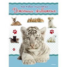 Коэ Н Детёныши животных. Моя первая энциклопедия