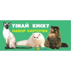  Узнай киску/набор карточек/