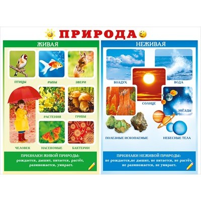 Плакат  