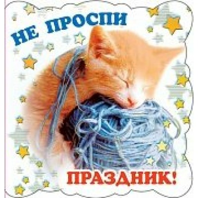 Открытка  Не проспи праздник! 68х130 мм