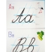 Набор Учимся Каллиграфии. Образцы написания букв (32 картинки А4 в картонной папке + методичка)