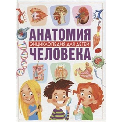 Гуиди В Анатомия человека. Энциклопедия для детей