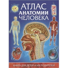 Гуиди В Атлас анатомии человека. Книга для детей и их родителей