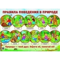 Плакат Правила поведения в природе