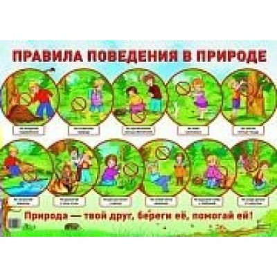 Плакат Правила поведения в природе