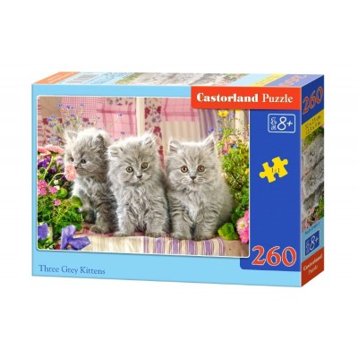  B2-27491 Три серых котенка, 260 деталей MIDI