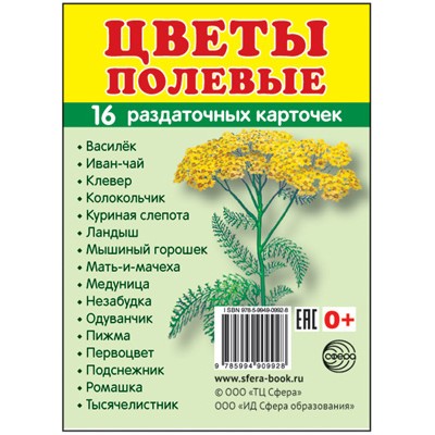 Карточки Цветы полевые 16 разд.карт. 63х87 мм