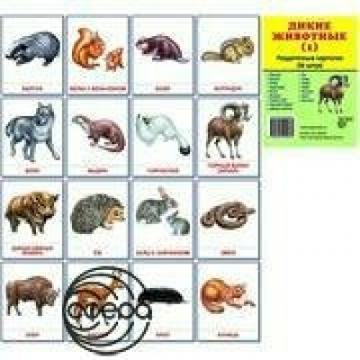 Карточки Дикие животные (1) 16 раздат.карт. 63х87 мм