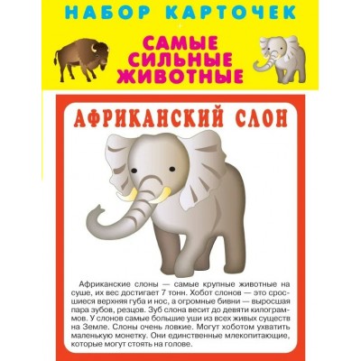  Самые сильные животные