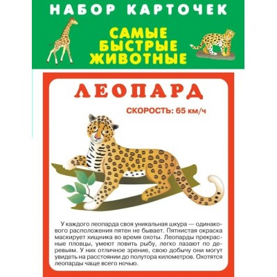  Самые быстрые животные