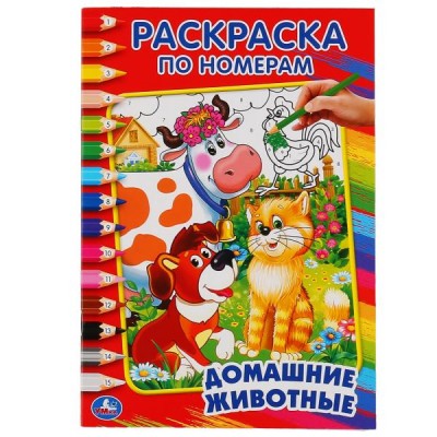 А5. Домашние животные