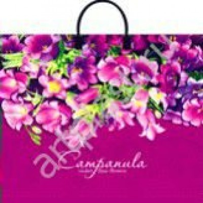 Пакет Полиэтиленовый Колокольчики 38х35см (90) с пласт.ручками
