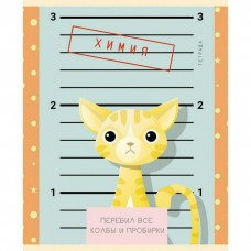 Предметная тетрадь 48 листов. клетка  ПУШИСТЫЕ ХУЛИГАНЫ Химия мел. карт. твин-лак, красная фольга Unnika