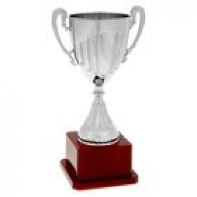 Кубок Спортивный серебро, пластик 19 см
