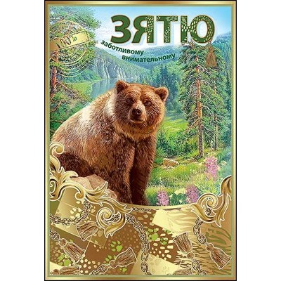 Открытка Зятю