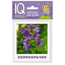 Малунова М.В. Умный малыш. Что растёт на клумбе? Набор карточек для детей.