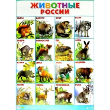 Плакат Животные России 550х770мм