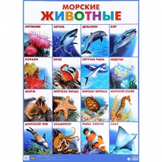 Плакат Морские животные 550х770мм