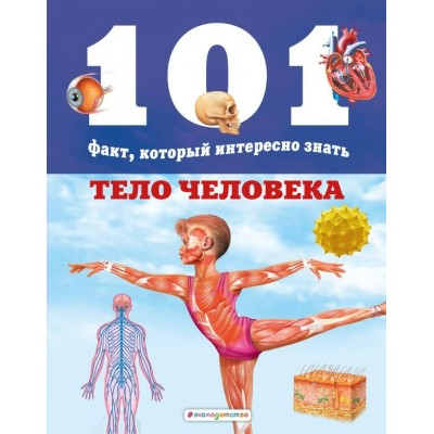Мириам Бакеро Тело человека/Нико Домингес