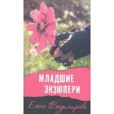 Владимирова Е Младшие Экзюпери
