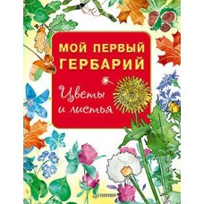  Мой первый гербарий. Цветы и листья