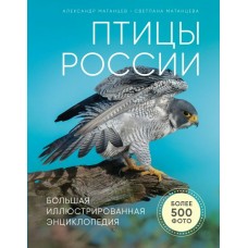 Матанцев А.Н Птицы России. Большая иллюстрированная энциклопедия