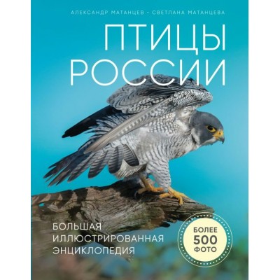 Матанцев А.Н Птицы России. Большая иллюстрированная энциклопедия