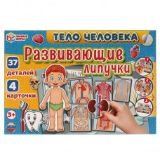  Тело человека. Игра с липучками