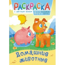 А4. Домашние животные