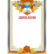 Диплом Школа (для принтера) 210х295 мм