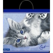 Пакет полиэтилен. Кот 37х35 (90)с пласт.ручками