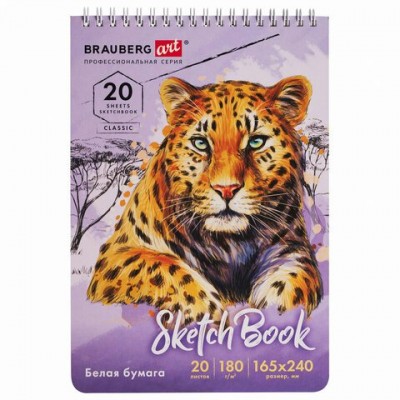 Скетчбук  спираль  180 г/м2, 165х240 мм, 20 л., твердая обложка, Brauberg
