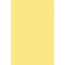 Бумага цветная 10л. тонированная двусторонняя,А4, Желтый,ПЭТ АппликА