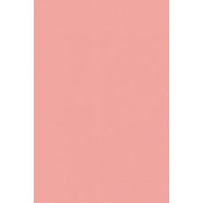 Бумага цветная 10л. тонированная двусторонняя,А4, Ярко-розовый,ПЭТ АппликА